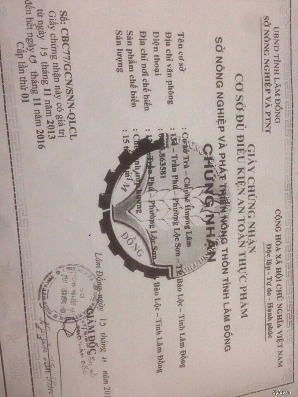 Trà ô long hảo hạng dành cho ngày tết, và gia đình thân yêu - 5