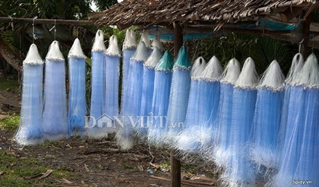 Bán lưới đánh cá, luoidanhca, lưới cá - 2