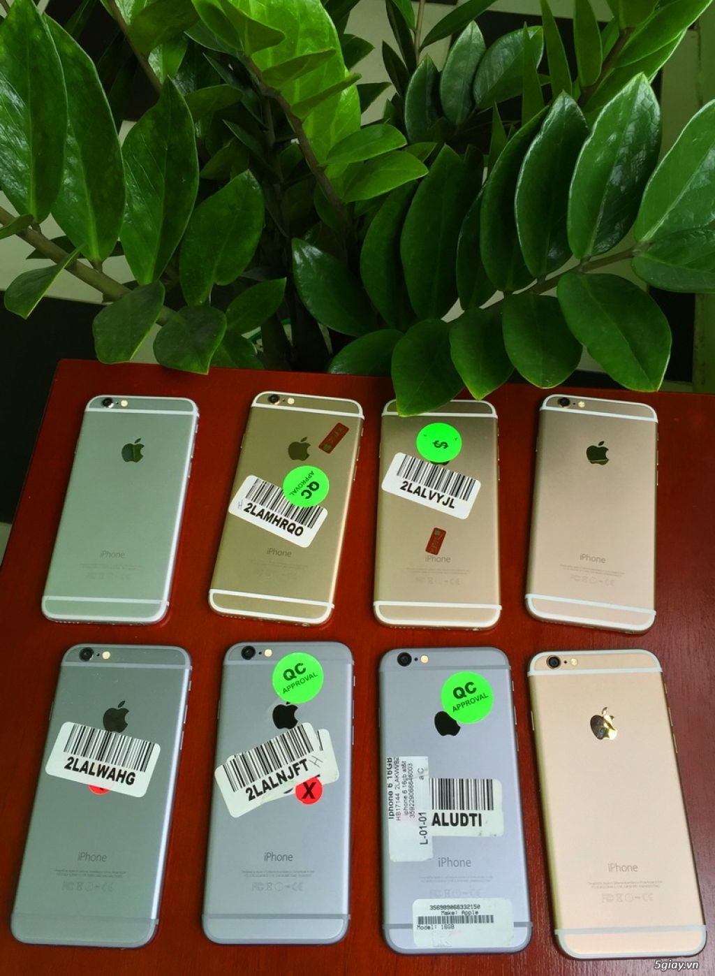 iPhone 6,QUỐC TẾ,QUÉT VÂN TAY NHANH NHẠY - 7