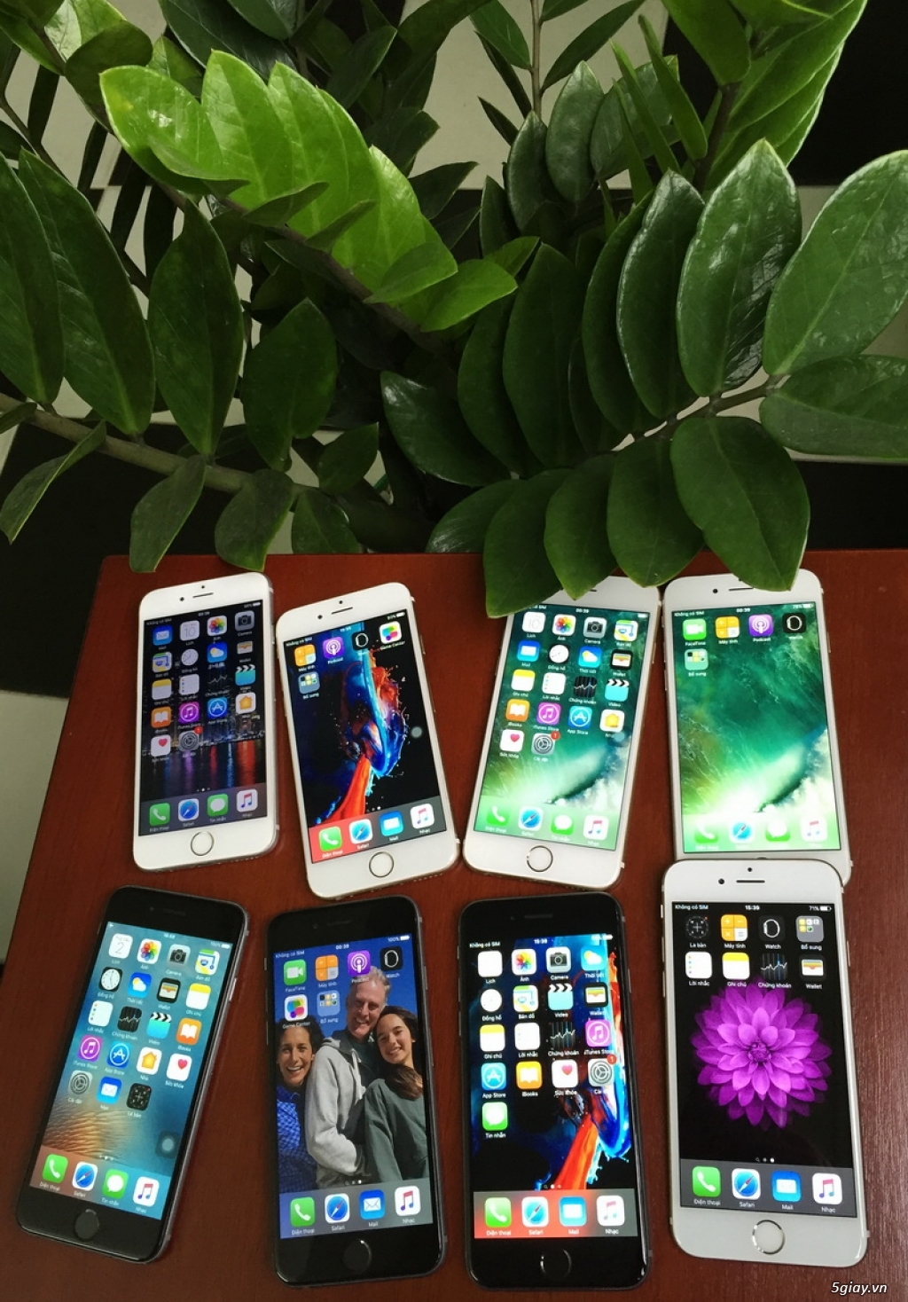 iPhone 6,QUỐC TẾ,QUÉT VÂN TAY NHANH NHẠY - 8