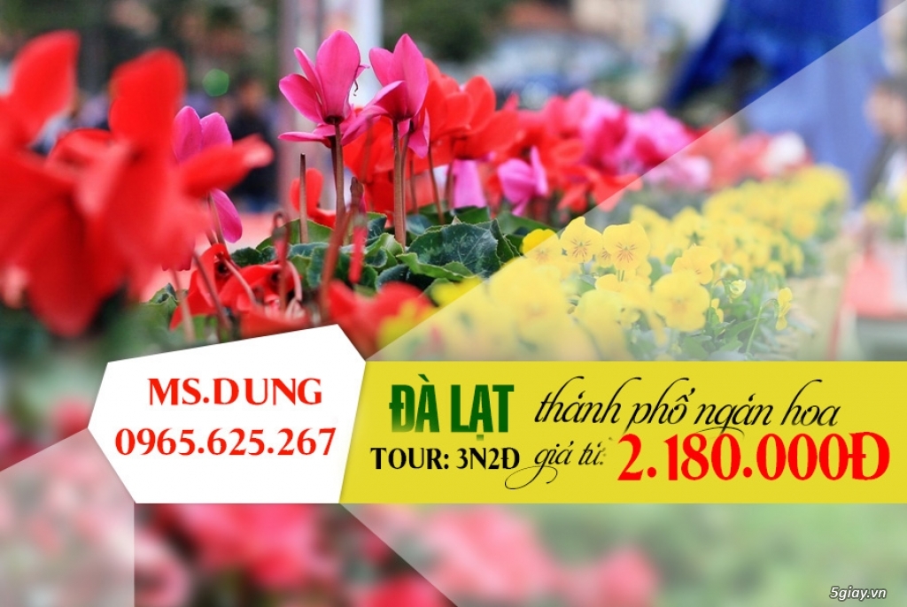 ĐÀ LẠT TẾT ÂM LỊCH- GIÁ HẤP DẪN- 3N2Đ-2.180.000Đ - 3