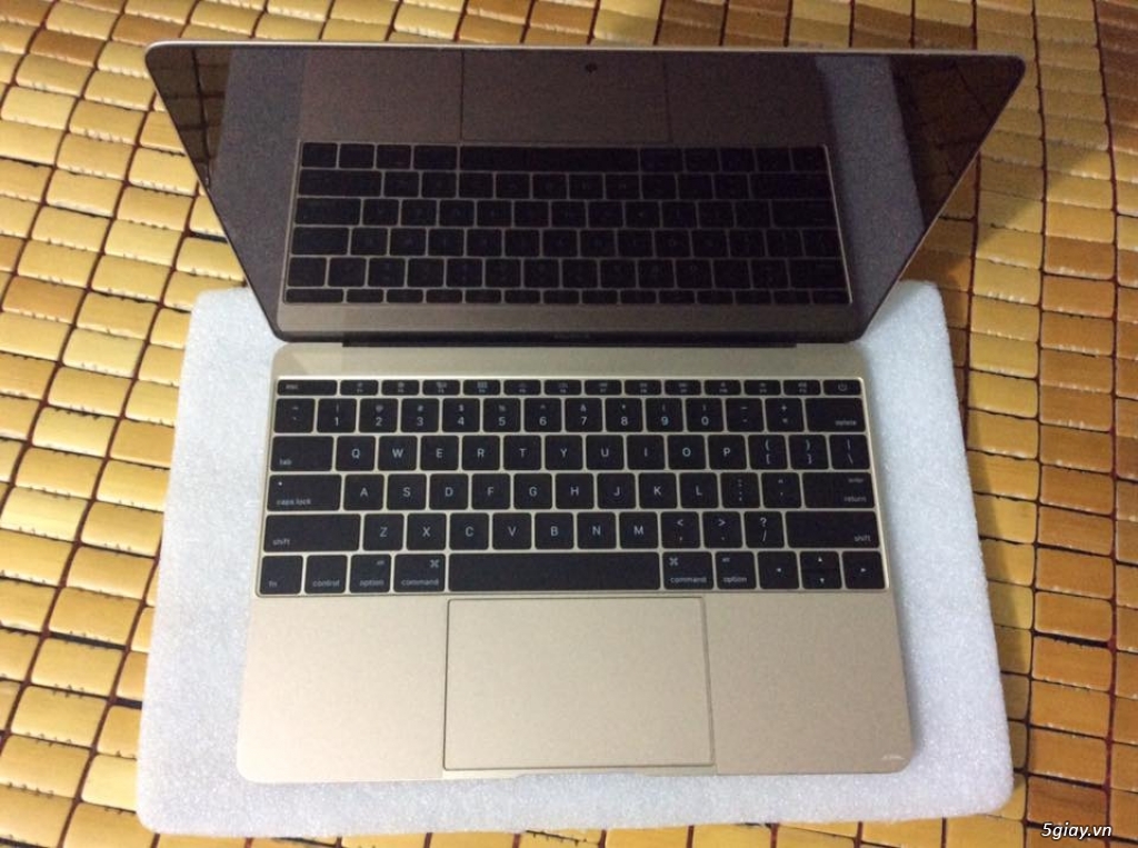 The new Macbook 12inch gold 256G, 2015