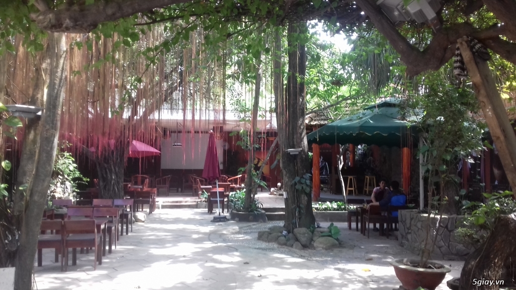CẦN SANG GẤP QUÁN CAFE SÂN VƯỜN TÔ KÝ, HÓC MÔN - 4