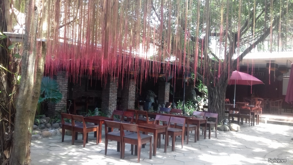 CẦN SANG GẤP QUÁN CAFE SÂN VƯỜN TÔ KÝ, HÓC MÔN - 3