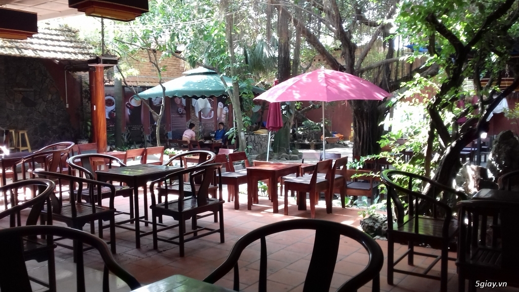CẦN SANG GẤP QUÁN CAFE SÂN VƯỜN TÔ KÝ, HÓC MÔN - 1