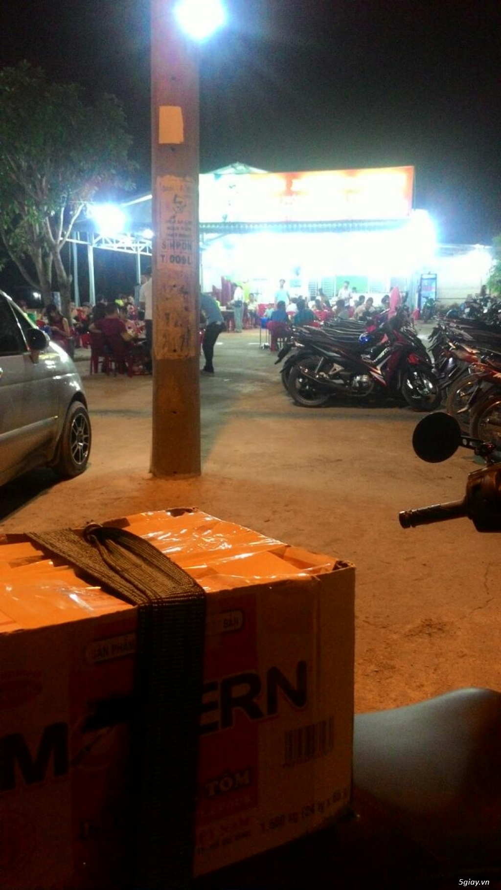 vịt uyên ương bình chánh bán buôn các loại vịt kiểng đẹp ngoại nhập - 4