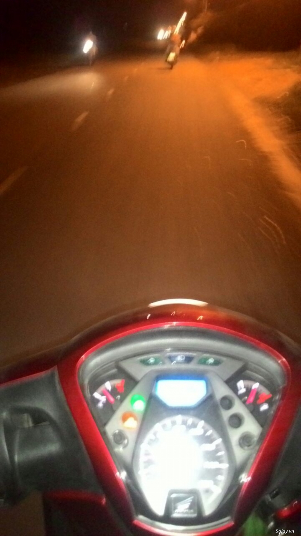 vịt uyên ương bình chánh bán buôn các loại vịt kiểng đẹp ngoại nhập - 1