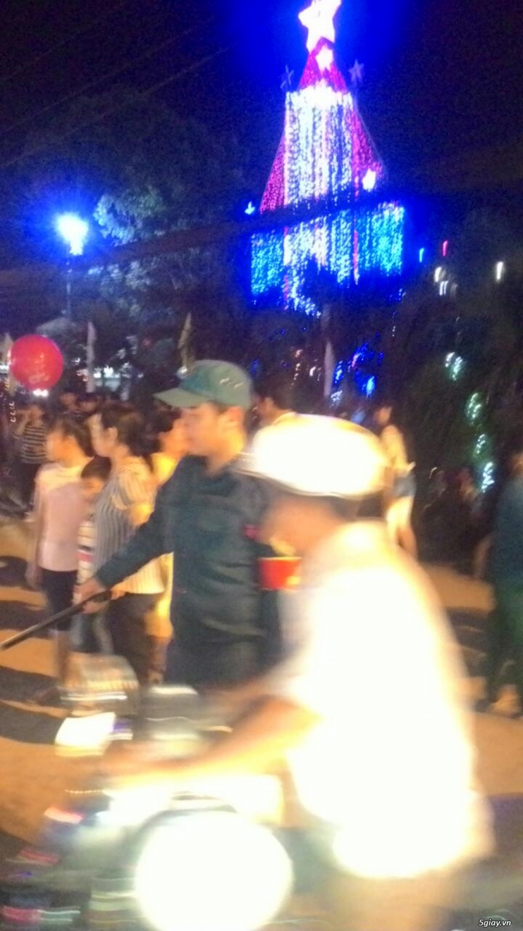 vịt uyên ương bình chánh bán buôn các loại vịt kiểng đẹp ngoại nhập - 2