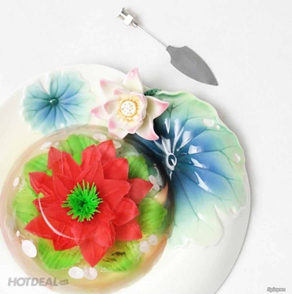 Bộ Kim Nghệ Thuật Làm Rau Câu 3D giá 125.000đ - 2