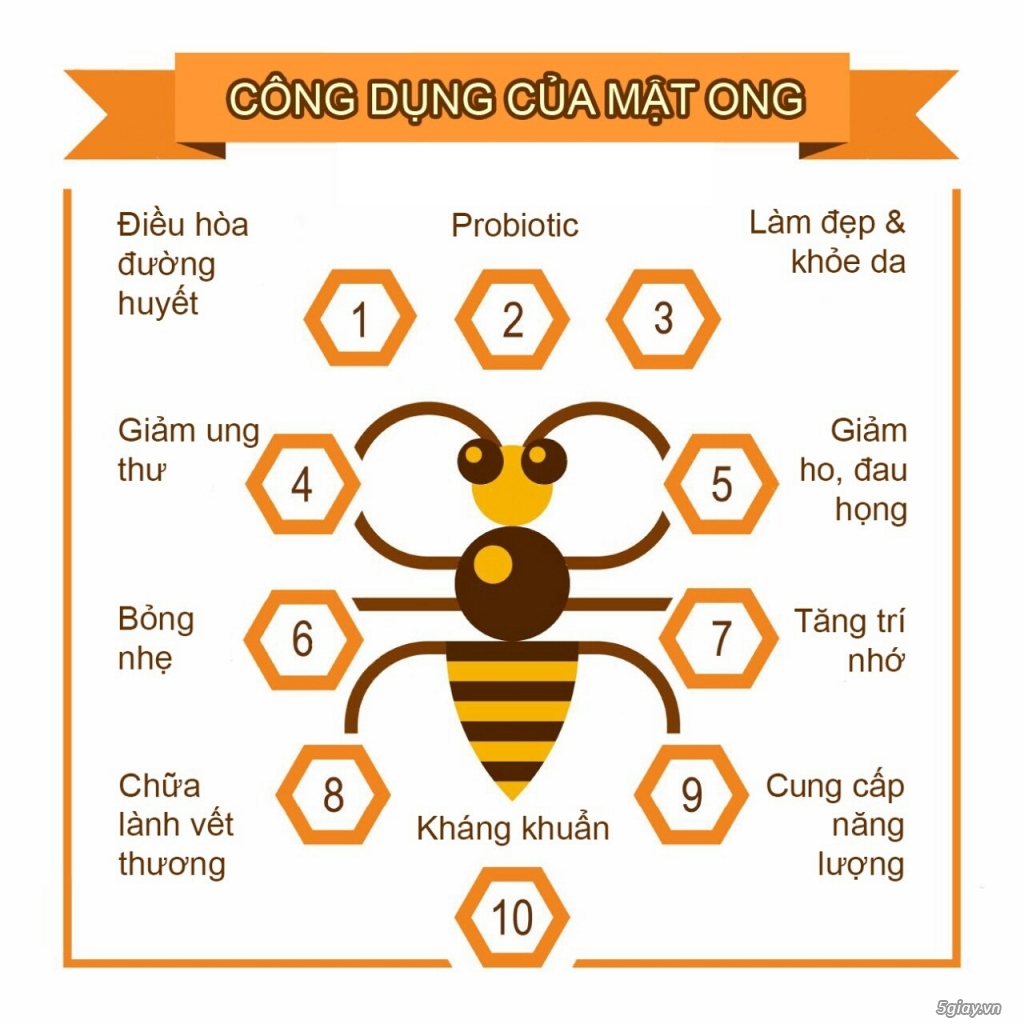 Chuyên cung cấp sỉ và lẻ mật ong nguyên chất 100% - 3