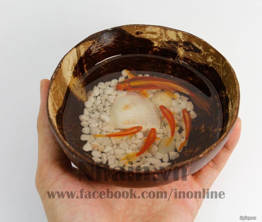 quà tặng năm mới 3D FISH RESIN PAINTING - TRANH VẼ CÁ 3D NHAIN.VN