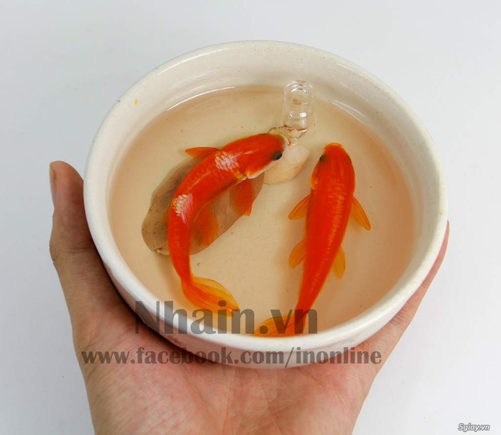 quà tặng năm mới 3D FISH RESIN PAINTING - TRANH VẼ CÁ 3D NHAIN.VN - 4