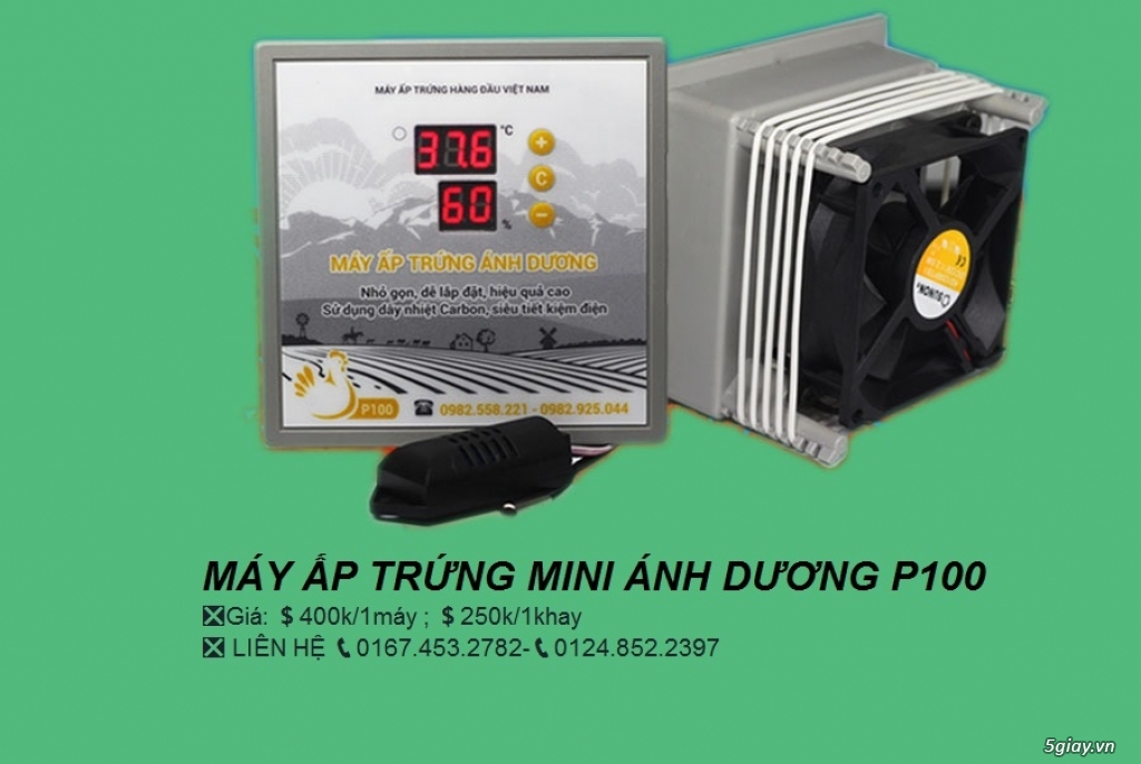 Máy Ấp Trứng Giá Rẻ Ánh Dương - 2