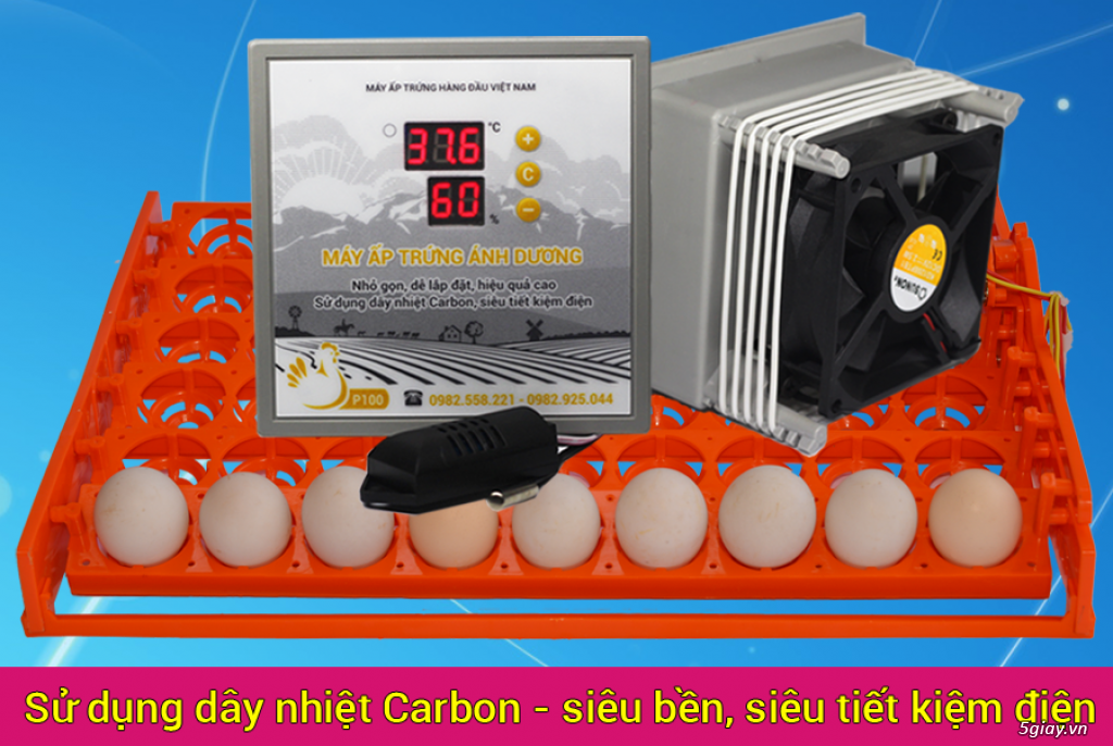 Máy Ấp Trứng Giá Rẻ Ánh Dương - 4