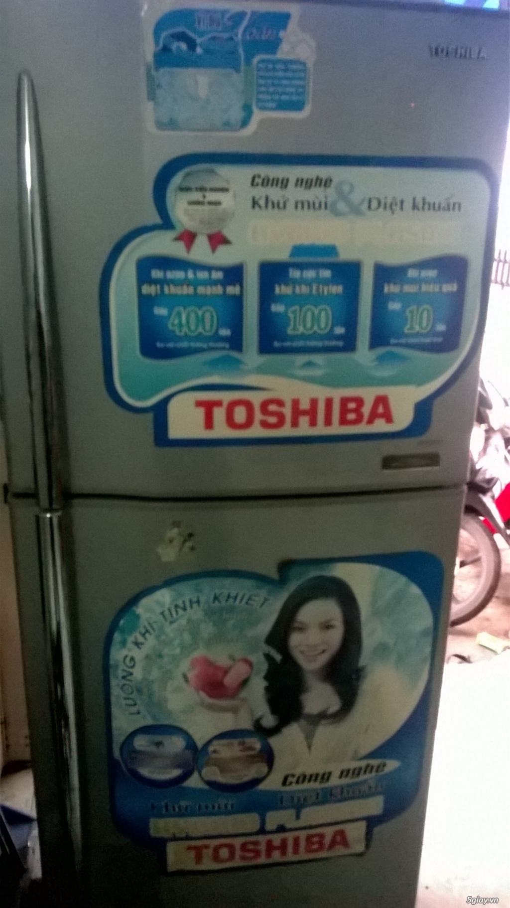 Tủ lạnh toshiba 228l