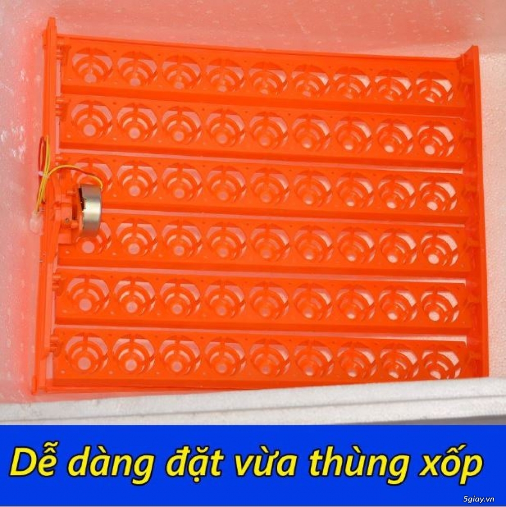 Máy Ấp Trứng Giá Rẻ Ánh Dương
