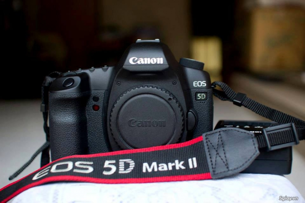 Canon 5D Mark II +Lens Canon 24-105 F4L