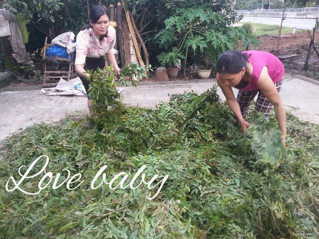 Dầu tràm Love Baby