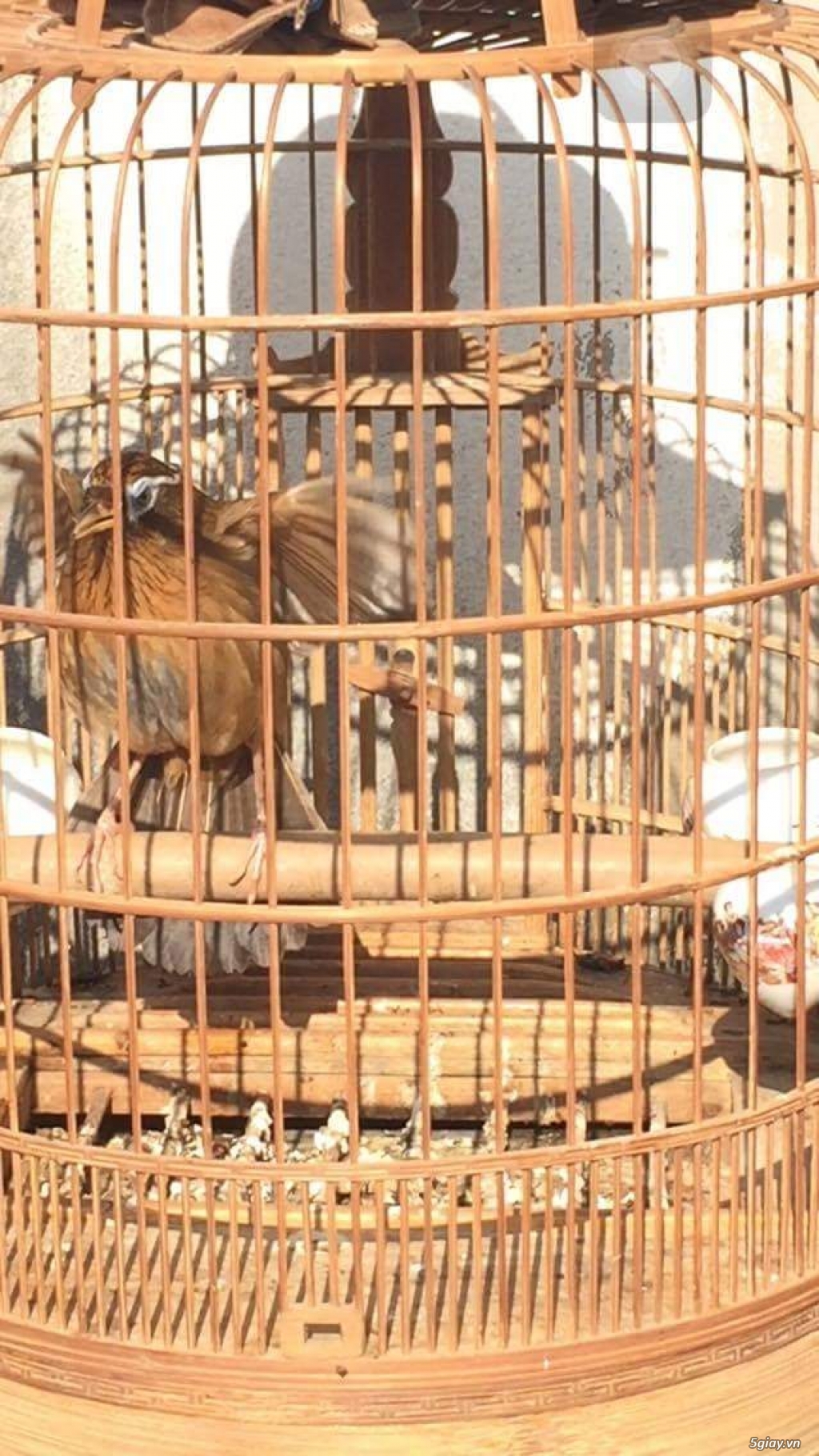 MI HÓT XÒE (GỐC LÀO CAI CHUẨN) - 2