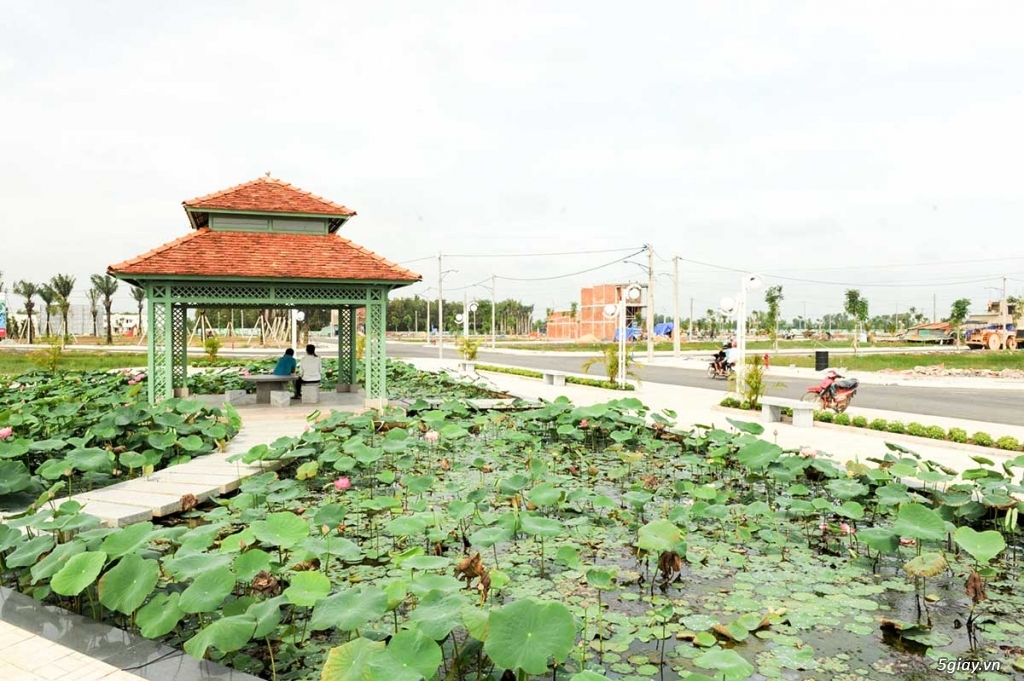 ĐẤT MẶT TIỀN ĐƯỜNG HÓC MÔN, 96M2, SHR, BAO CÔNG CHỨNG SANG TÊN - 3