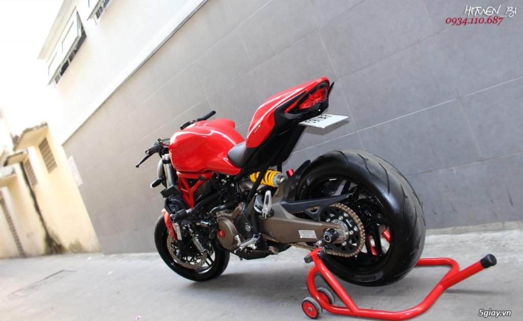 ___ Can Ban ___DUCATI Monster 821 ABS 2015___ - 7