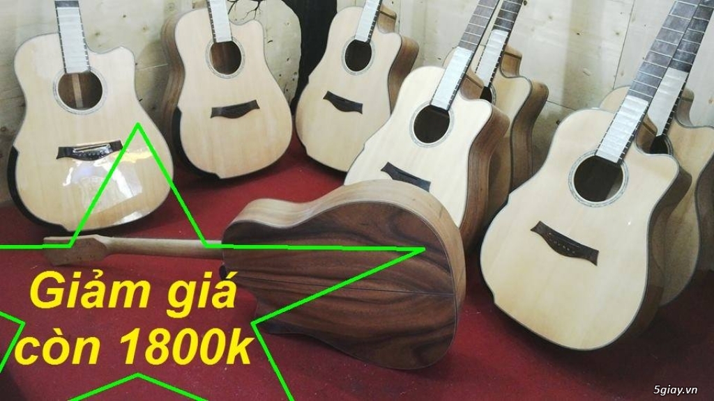 Bán Đàn Guitar, Đàn Tranh, giá rẻ tại cửa hàng nhạc cụ mới HÓC MÔN - 15
