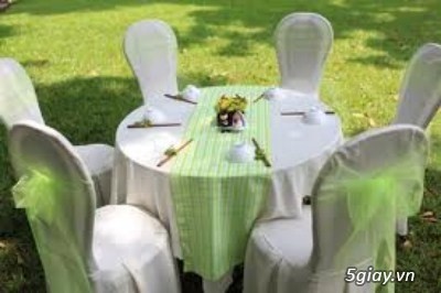 khăn trải bàn tiệc, hội nghị cao cấp - 4
