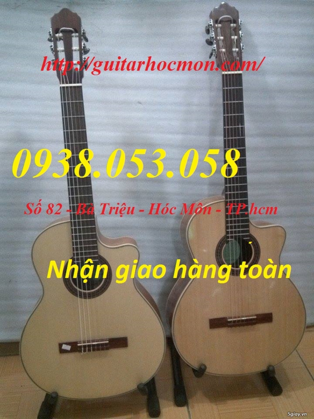 Bán Đàn Guitar, Đàn Tranh, giá rẻ tại cửa hàng nhạc cụ mới HÓC MÔN - 18