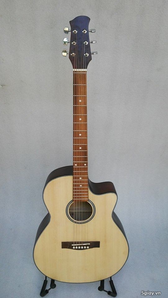 Bán Đàn Guitar, Đàn Tranh, giá rẻ tại cửa hàng nhạc cụ mới HÓC MÔN - 10