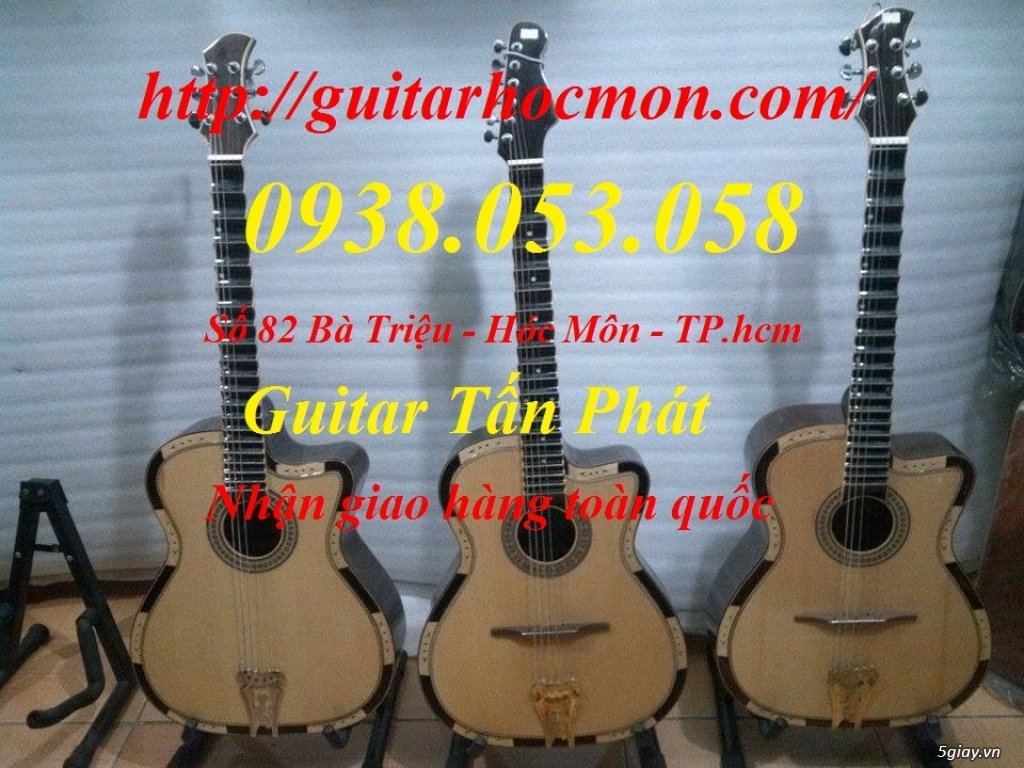 Bán Đàn Guitar, Đàn Tranh, giá rẻ tại cửa hàng nhạc cụ mới HÓC MÔN - 8