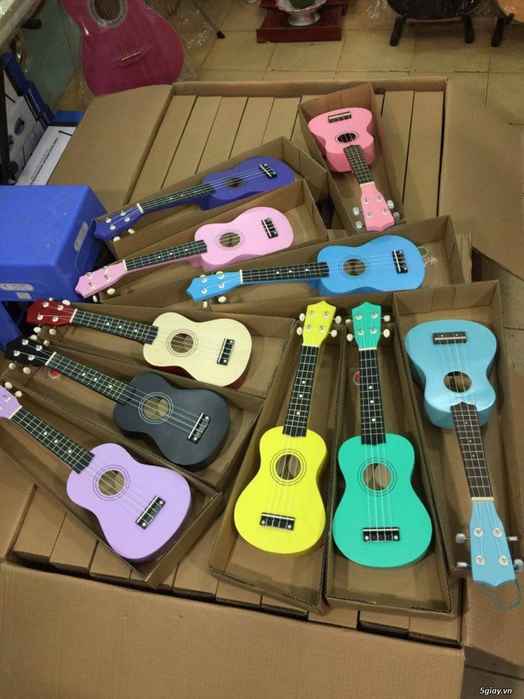 bán Ukulele giá rẻ tại hóc môn, cơ sở tấn phát 0938053058 - 24