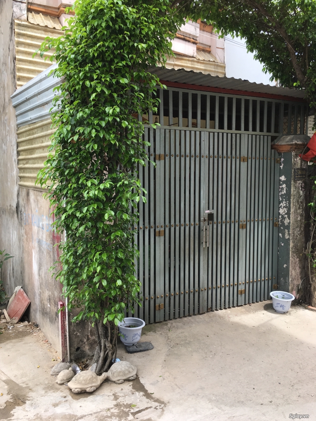 Cần bán miếng đất đường Nguyễn Hữu Tiến, Tân Phú