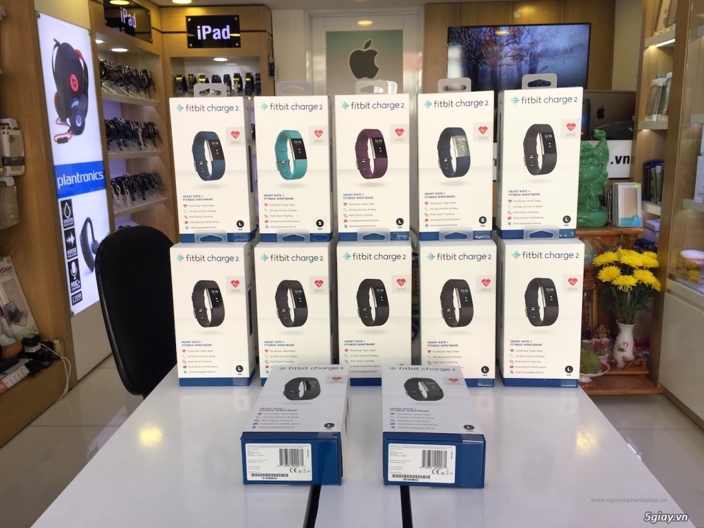 [Sale Off đến 45%] vòng đeo sức khỏe Mỹ: Fitbit Charge HR, Charge 2, Fitbit Flex 2, Fitbit Surge - 9