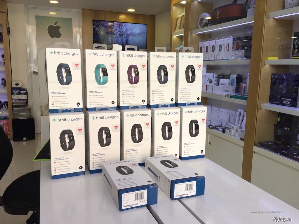 [Sale Off đến 45%] vòng đeo sức khỏe Mỹ: Fitbit Charge HR, Charge 2, Fitbit Flex 2, Fitbit Surge - 7