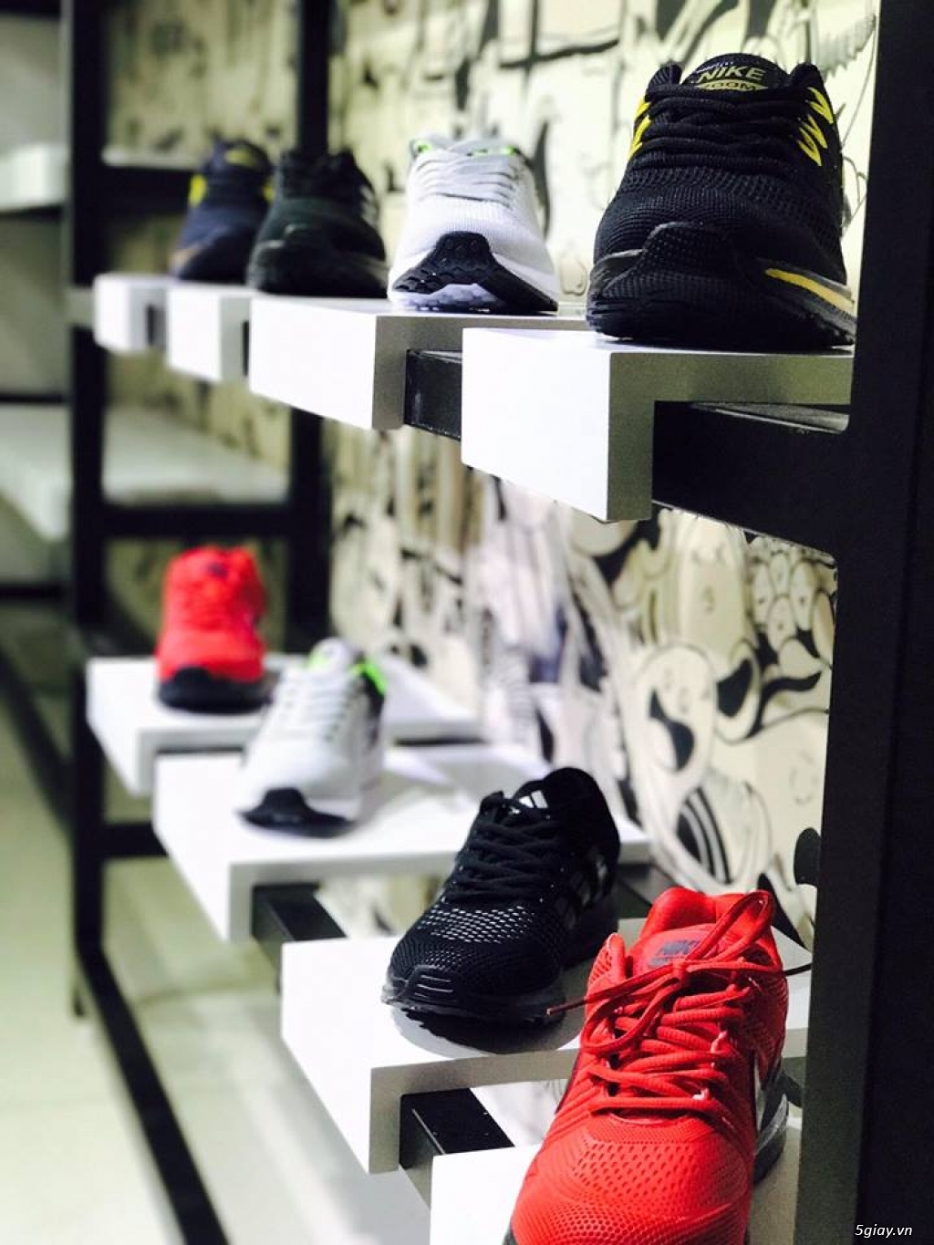 Phân phối sỉ và lẻ các loại giày thể thao:Adidas,Nike,Converse,Vans... - 5