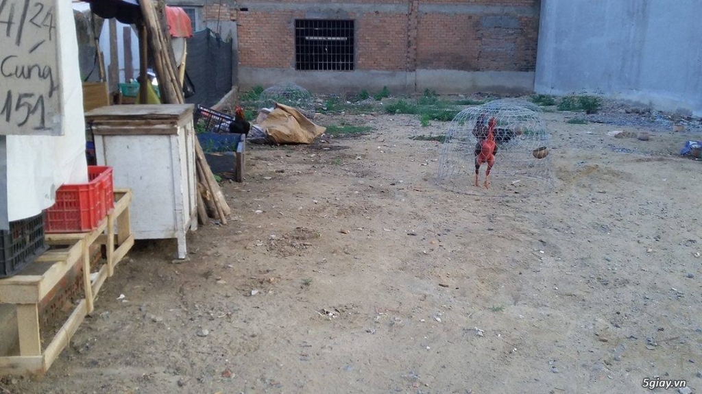 Chính chủ bán gấp lô đất thổ cư gần ngã 3 Mỹ Thành - Q9 - 0938.31.8696