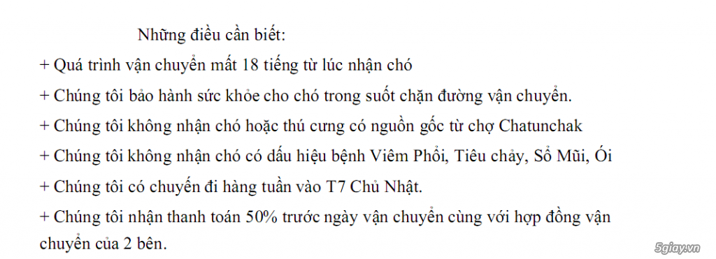 Chuyên Vận Chuyển Thú Cưng Tuyến Thái Lan -> Việt Nam - 2