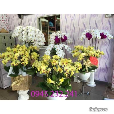 Shop Hoa tươi ở quận Bình Thạnh - TP. Hồ Chí Minh | 0945232241 |