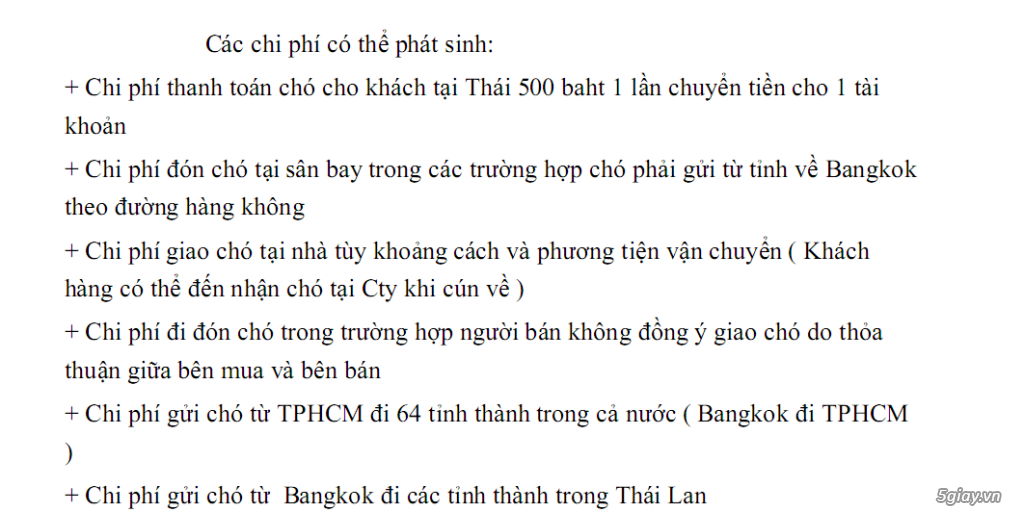 Chuyên Vận Chuyển Thú Cưng Tuyến Thái Lan -> Việt Nam - 3