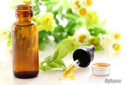 Tinh dầu thiên nhiên giá sỉ, tinh dầu sả chanh, tinh dầu hoa hồng
