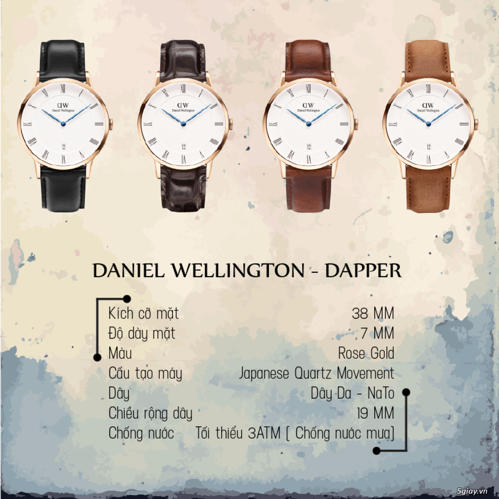 Đồng Hồ Daniel Wellington - 33