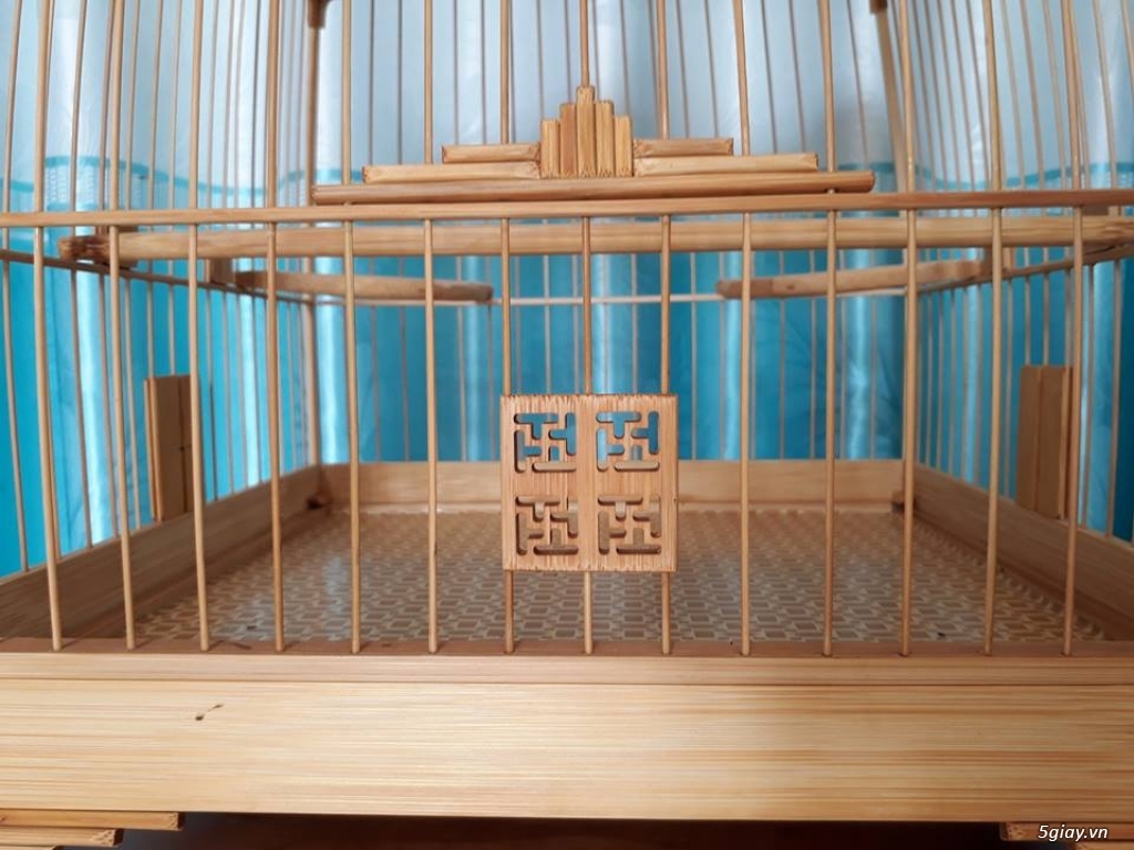 Lồng đấu chào mào tre già - 1