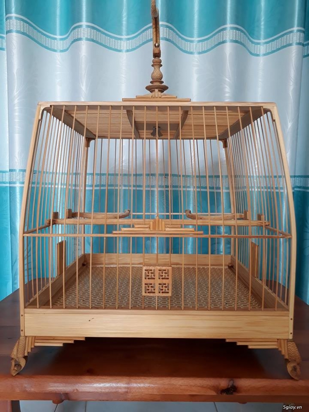 Lồng đấu chào mào tre già - 4