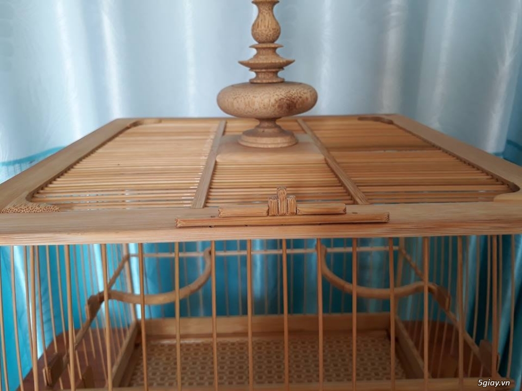Lồng đấu chào mào tre già