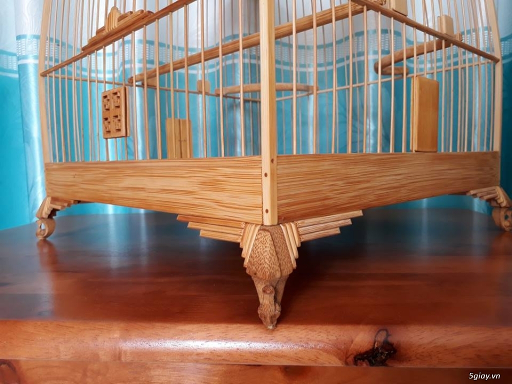 Lồng đấu chào mào tre già - 2
