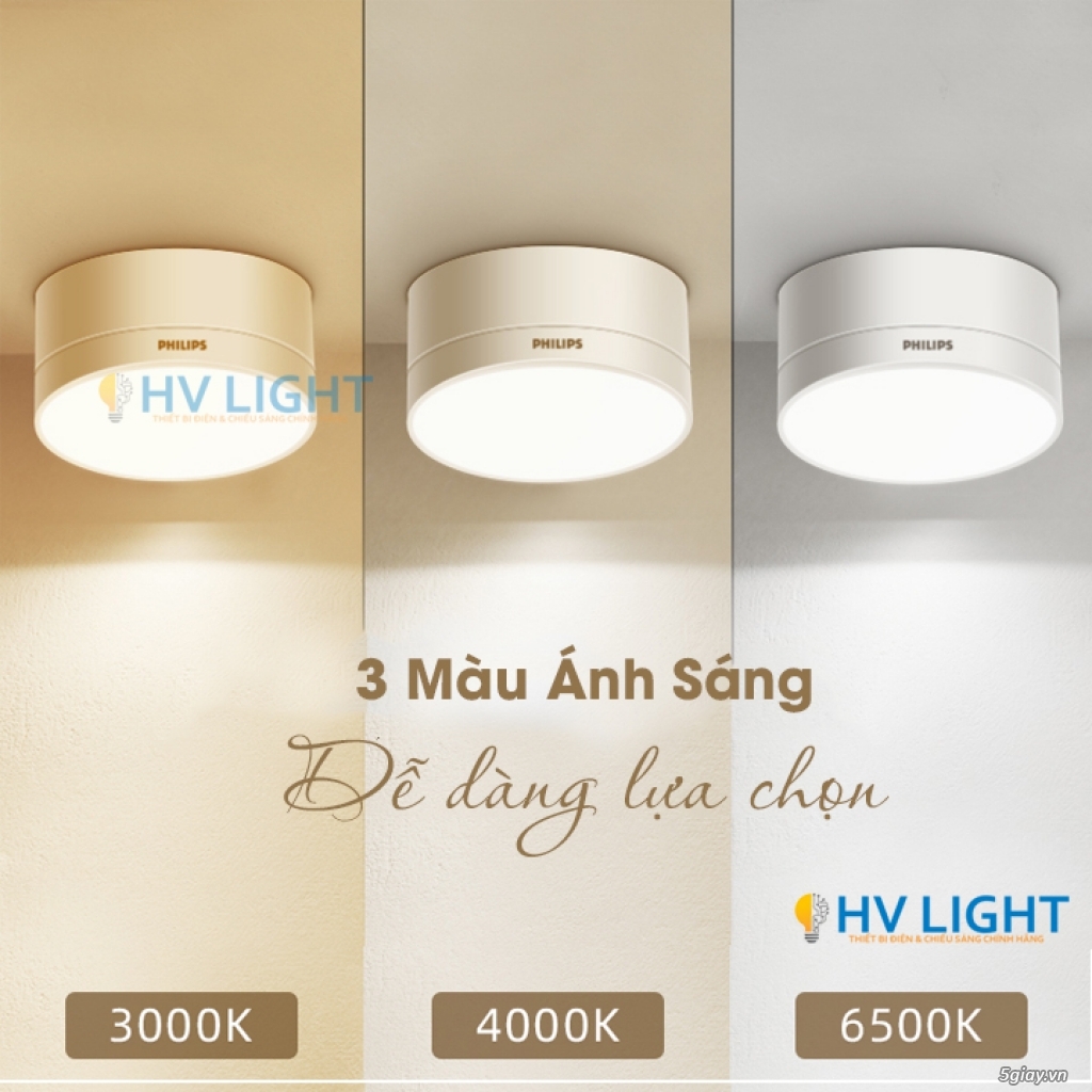 N Led P Tr N W Dl D Ec Rd Philips V Tr Ng Hv Lighting Giay