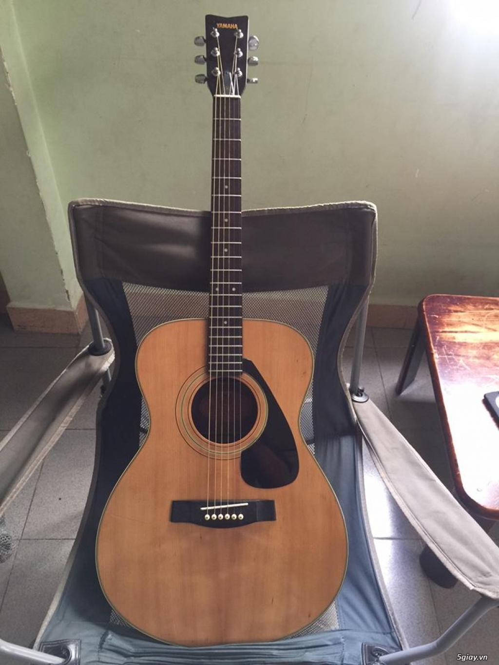 It is an image of Zany Yamaha Fg 200 Tan Label It is an image of Zany Yamaha Fg 200 Tan Label