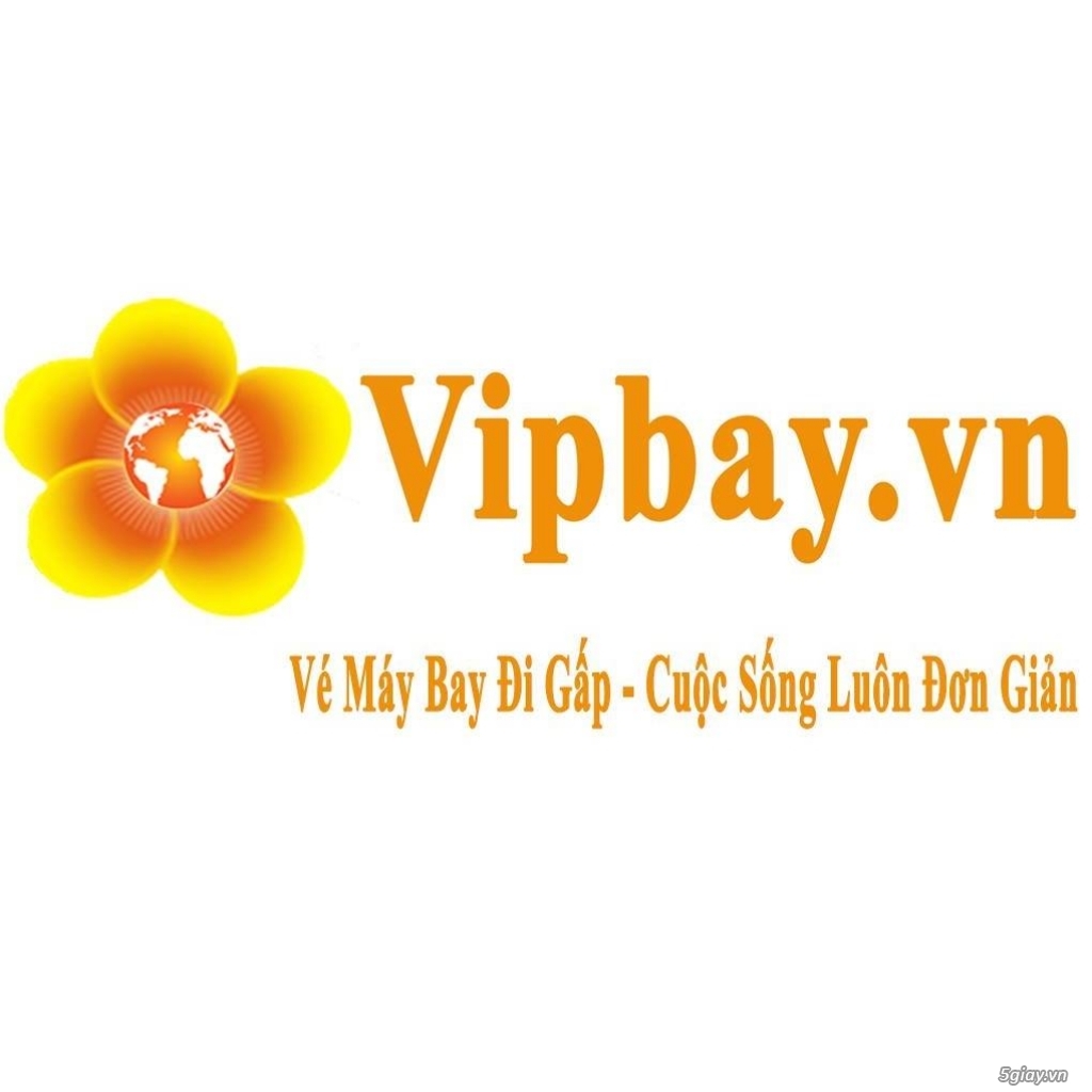 vé máy bay - 4