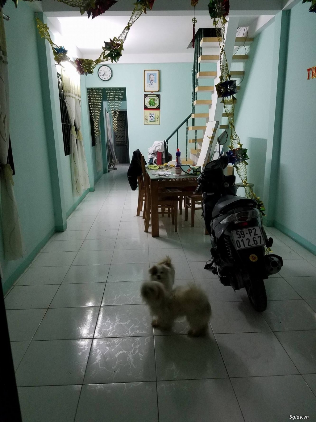 Cho thuê nhà nguyên căn 1 lầu tấm đúc tại Quận 7 - 4