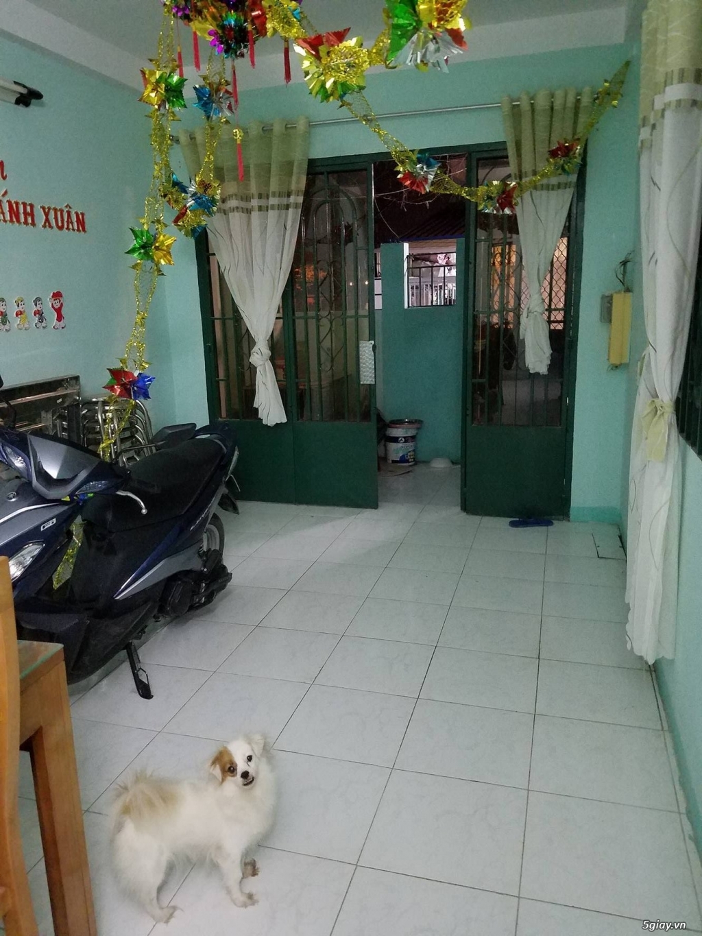 Cho thuê nhà nguyên căn 1 lầu tấm đúc tại Quận 7 - 2